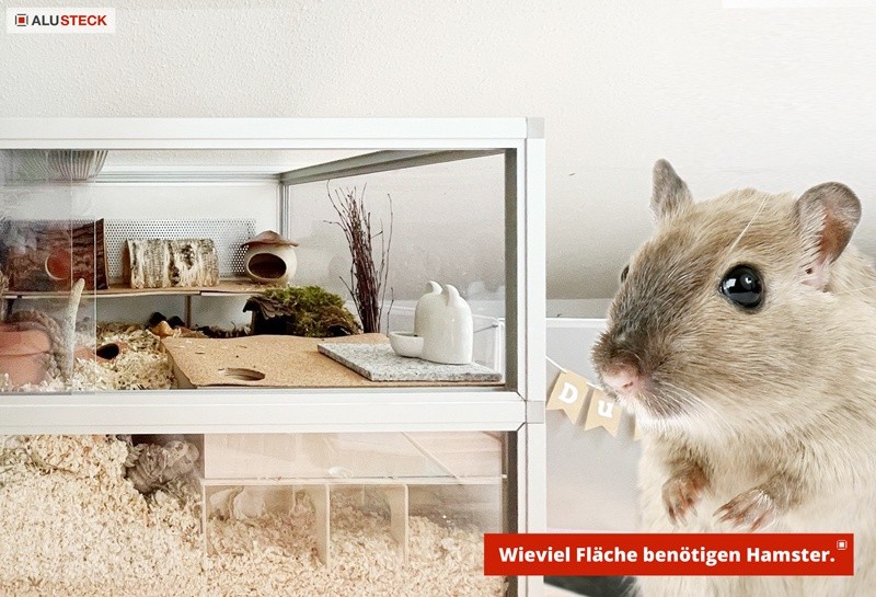 Hamsterkäfig selber bauen - Hamstergehege: Wieviel Fläche benötigen Hamster